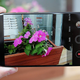 The camera app is one place where keeping it simple isn’t exactly the best idea. Image: Sam Rutherford/Gizmodo
